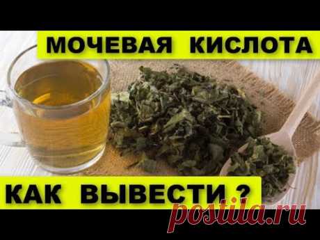 МОЧЕВАЯ КИСЛОТА  как ВЫВЕСТИ из организма простой СОРНЯК поможет ВАМ