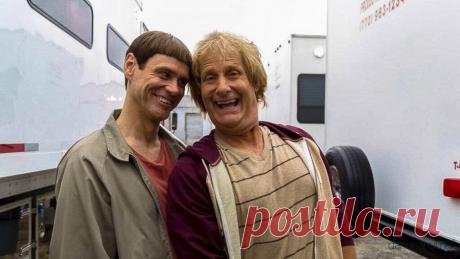 Идиоты на работе