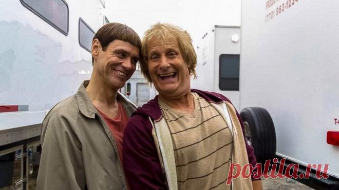 Идиоты на работе