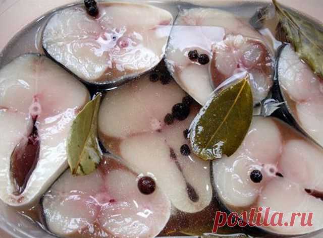 Скумбрия малосольная «Домашняя»