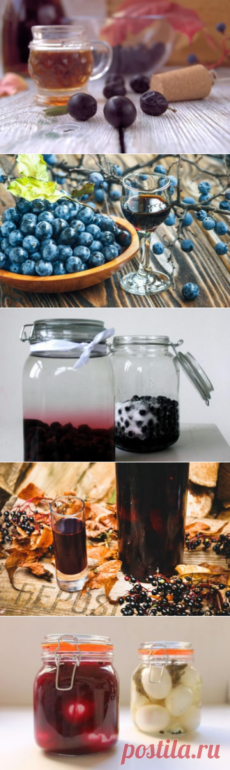 Ликёр из тёрна в домашних условиях на водке, спирту, хересе и порто