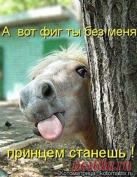 без меня-то  не получится......