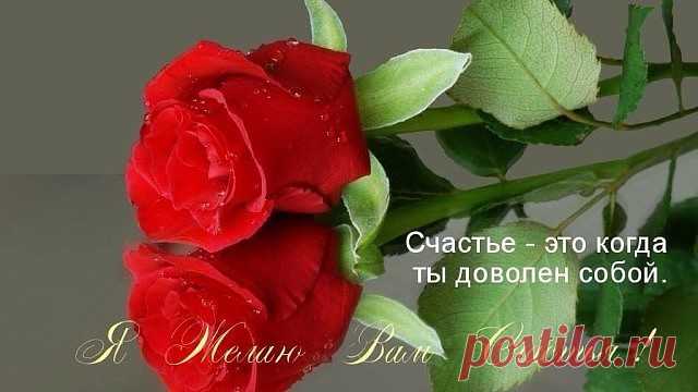 Когда​​, устав от нервотрепки, вконец износится душа.То, осторожно, чуть дыша, достану я иглу для штопки.​И ниток шёлковые прядки, и тканей ярких лоскутки...​Чтоб всем невзгодам вопреки, душа опять была в порядке.​Пусть истрепалась до предела, но мне латать - не привыкать,​Негоже дырками сверкать: заплатками - другое дело!​И буду вновь носить, не струшу,​Свою заштопанную душу!​