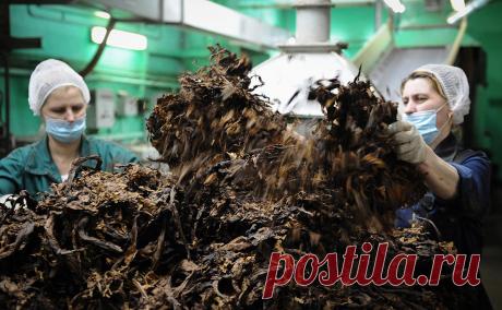 Глава Philip Morris заявил о сложностях с продажей бизнеса в России. Американская табачная компания Philip Morris International (владеет брендами Marlboro, Bond, Parliament и другими) «скорее оставит» свой бизнес в России, чем продаст на невыгодных условиях, заявил Financial Times гендиректор Яцек Ольчак.