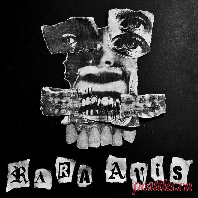 Asymetric80 - Rara Avis (EP) (2024) 320kbps / FLAC