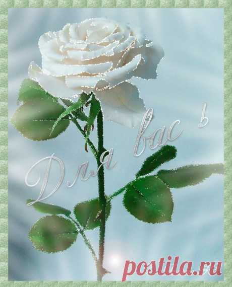 0_1048b9_85ede678_orig (700×867)