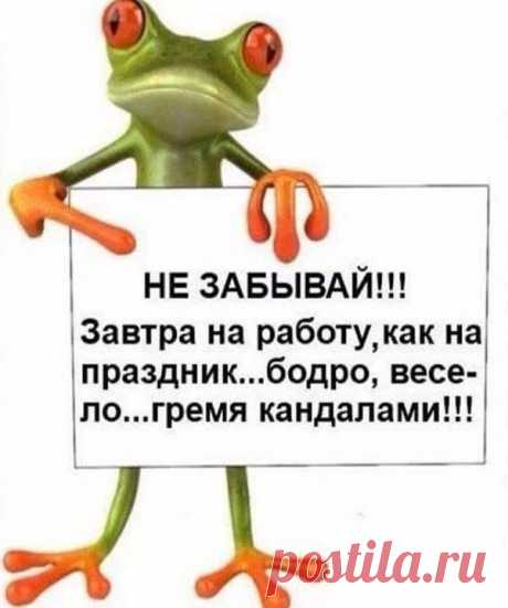 ЛУЧШИЙ ЖЕНСКИЙ ЮМОР
