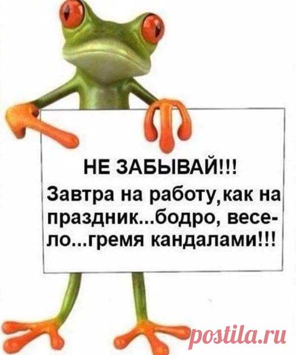 ЛУЧШИЙ ЖЕНСКИЙ ЮМОР