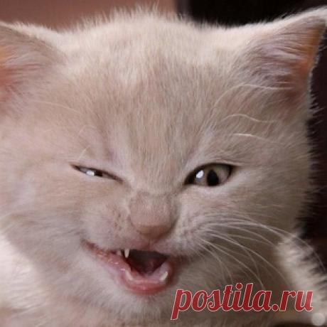 Столичный зампрокурора выкурил две сигареты и умер