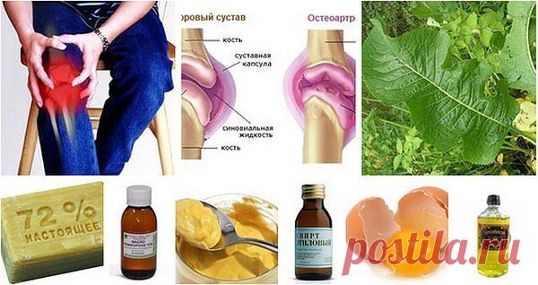 Когда болят колени...
 Оригинальное сообщение		Болят колени, лечение народными средствами



Если болят колени, нужно взять лист хрена, окунуть в кипяток, приложить на 2-3 часа к коленям. Листья хрена хорошо вытягивают соли и боль проходит. Курс лечения – 7 дней.

Если травмированы суставы на ногах: на ночь делать компрессы из раствора хозяйственного мыла.

Возьмите денатурат и керосин в равных пропорциях, слейте в стеклянную банку, положите туда 3-4 стручка свежего жгучег...