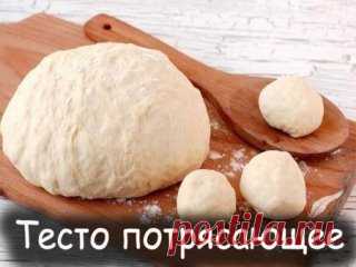САМОЕ ВКУСНОЕ ТЕСТО ЖЛЯ РАЗНОЙ ВЫПЕЧКИ НА КАЖДЫЙ ДЕНЬ!!!ЧЕТЫРЕ НЕЗАМЕНИМЫХ РЕЦЕПТА!!!ОПИСАНИЕ ПОД ФОТО ЕСЛИ ВЫ ЕЩЕ НЕ В ГРУППЕ ЖМИ ПРИСОЕДИНИТСЯ   ↓↓↓↓↓↓↓↓↓↓↓↓↓↓↓↓↓↓↓↓↓↓↓↓↓↓↓↓↓↓↓↓↓↓↓↓↓↓↓↓↓↓↓↓↓↓↓↓↓↓↓↓↓↓↓↓↓↓↓↓↓↓↓↓↓