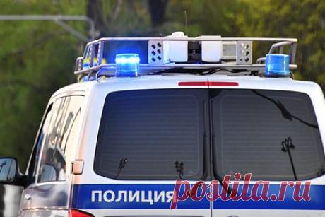 Россиянин изнасиловал девушку в столичном парке