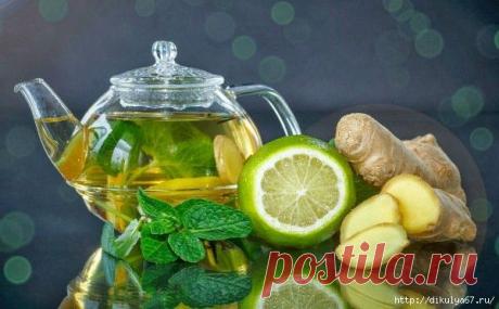 Для тех, кто худеет / Болталка / Разговоры на любые темы