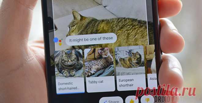 13 функций камеры смартфона, о которых вы не подозревали - Hi-Tech Mail.Ru