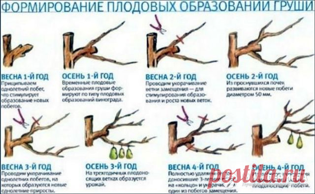 1 непрочитанный чат