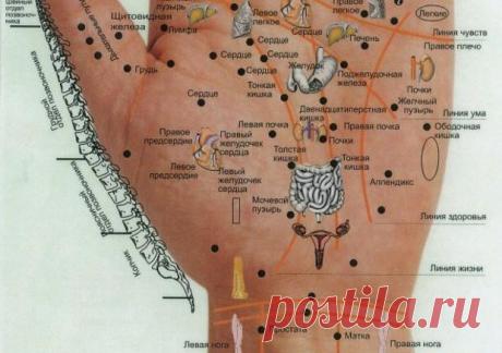 10 заболеваний в лечении которых помогает рефлексотерапия