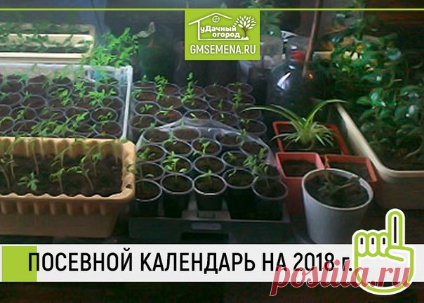 Когда сажать рассаду в 2018 году с учетом лунных фаз? 

Обязательно сохраните себе! Пригодится! 

«Вершки» сажайте на растущую Луну: • февраль — с 16 по 28; • март — с 17 по 29; • апрель — с 16 по 28. 

«Корешки» сажайте на рассаду при убывающей Луне: • февраль — с 1 по 15; • март — с 3 по 16; • апрель — с 1 по 15. 

Благоприятные дни по знакам Зодиака 

Конкретные даты для посадки культур, рекомендуемые посевным календарем, высчитывают по расположению светила в знаках Зод...