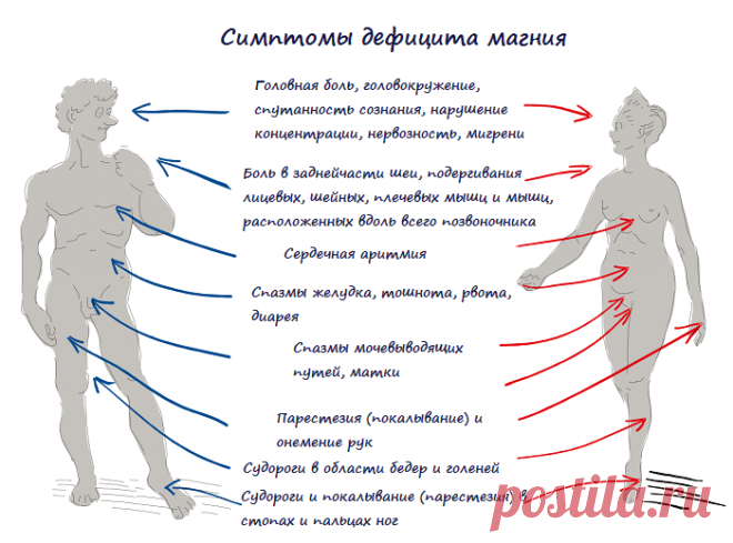 Узнайте чем грозит дефицит магния в организме и что делать / Будьте здоровы
