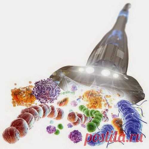 Десять дней посвятите здоровью | Друг пенсионера
Как правило, все мы рождаем­ся здоровыми, а потом сами себя обременяем недомога­ниями и болезнями. К сожалению, понимаем мы это поздно. Но лучше поздно, чем никогда.