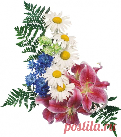 ПРАЗДНИЧНЫЕ ЭЛЕМЕНТЫ ДЛЯ ВАС В PNG!