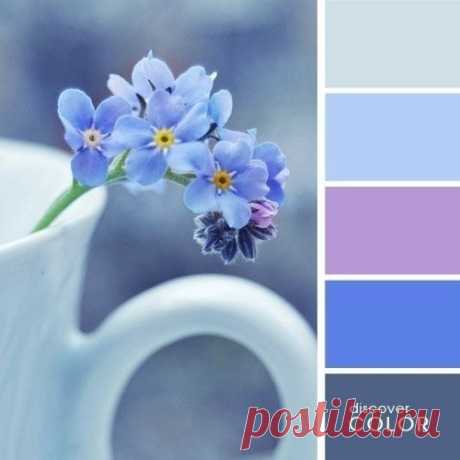 Фотографии на стене сообщества | 34 375 фотографий | ВКонтакте