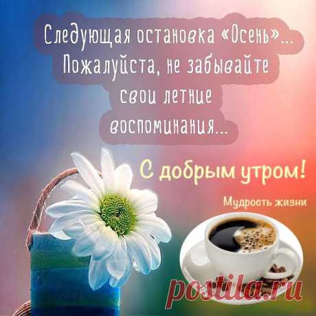 В последний день лета, желаю я Вам
Любви и надежды, и веры!
Пусть льются дожди, как на душу бальзам,
А жизнь дарит счастья премьеры!
Пусть тучи проходят, а солнечный свет
В окошко пробиться стремится
И пусть в эту осень, как яркий букет,
Хорошее что-то случится!