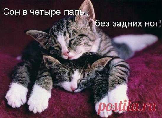 Вы как хотите, а у них уже:
