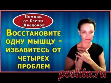 Восстанавливаем подключичную мышцу. Техника для быстрого снятия болей, облегчения дыхания