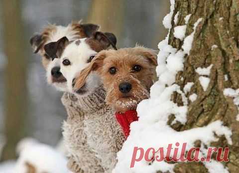 хх