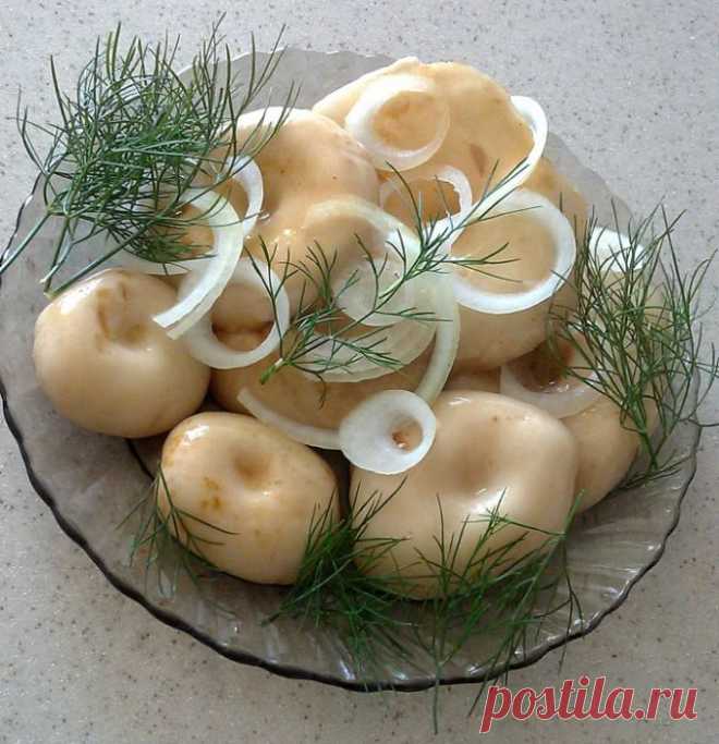 ГРУЗДИ СОЛЕНЫЕ — 7 РЕЦЕПТОВ | Самые вкусные кулинарные рецепты