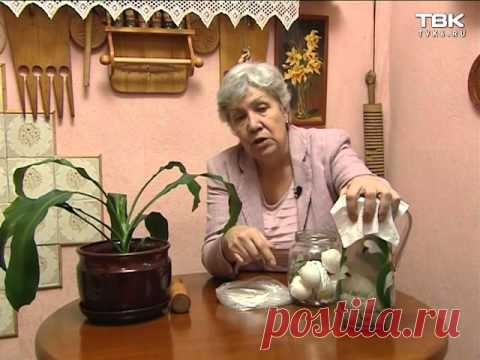 Скорлупа яиц как дренаж для комнатных растений. Как использовать?