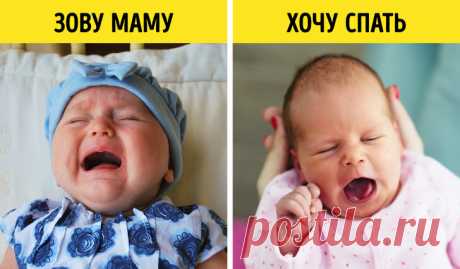 17 знаков, с помощью которых ребенок хочет что-то сказать, когда еще не умеет говорить