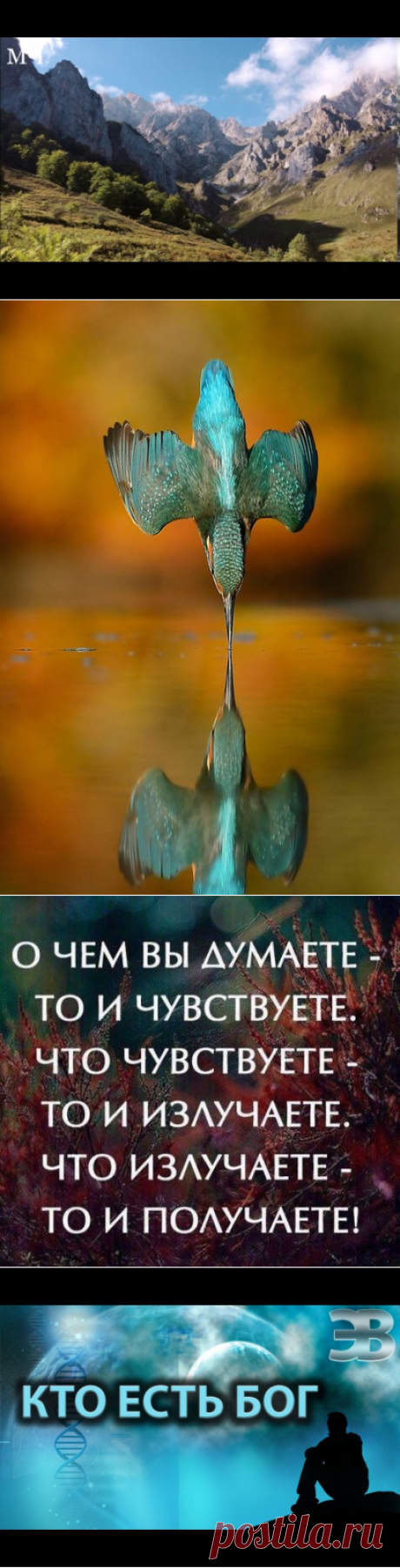 Новости