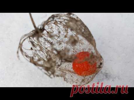 Кто орал в камеру? Как проходил карантин и скидка на 1000 артиклов #хорватия #crikvenica