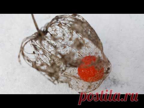 Кто орал в камеру? Как проходил карантин и скидка на 1000 артиклов #хорватия #crikvenica