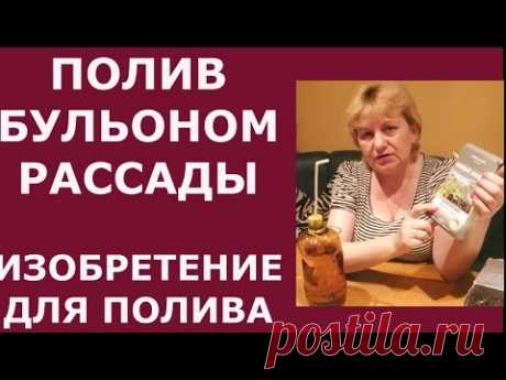ПОЛИВ БУЛЬОНОМ рассады. ИЗОБРЕТЕНИЕ ДЛЯ ПОЛИВА нежной рассады цветов и овощей