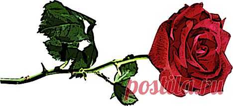 С наступающим 8 марта!