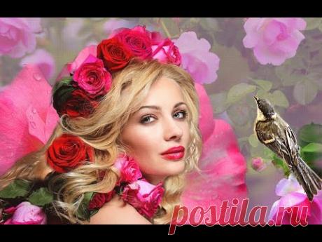 Моя Любимая и Нежная (Владимир Алмазов)