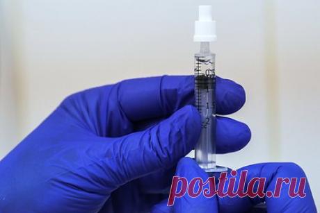 Инфекционист рассказал об особенностях мутации коронавируса. Каждая последующая мутация коронавируса будет заразнее, однако не будет вызывать дополнительных сложностей при лечении. Об особенностях изменения рассказал врач-инфекционист Евгений Тимаков в беседе с ТАСС: «Самое главное, что вирус не становится более патогенным. Это эволюция вируса».