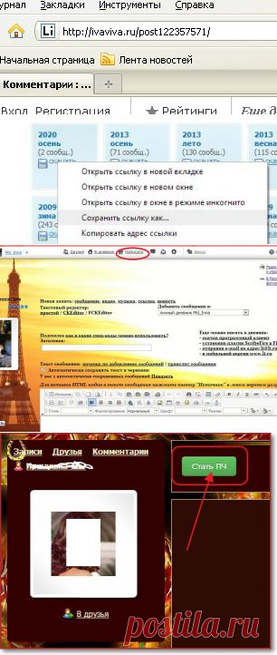 "ЛиРу": ликбез. Бродилка по дневникам №2.