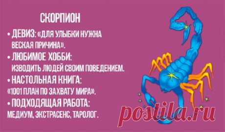 Шуточный девиз вашего знака Зодиака.У каждого из нас есть свои жизненные ценности и приоритеты, которые в какой-то степени определяется