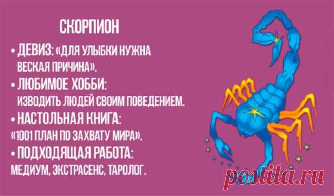 Шуточный девиз вашего знака Зодиака.У каждого из нас есть свои жизненные ценности и приоритеты, которые в какой-то степени определяется