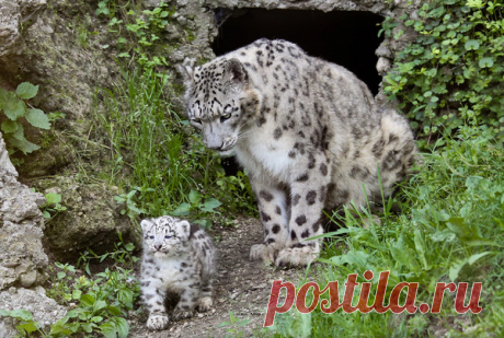 Мой Мир@Mail.Ru