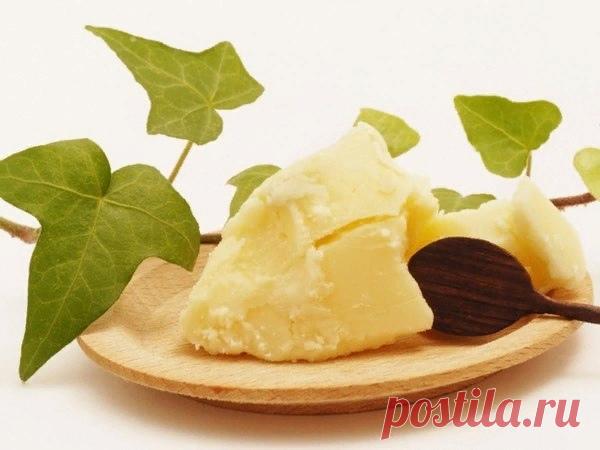 Секреты приготовления масла из козьего молока.

Масло из козьего молока имеет удивительно мягкую текстуру, тонкий аромат и непередаваемый нежный вкус. Плюс ко всему, этот продукт очень полезный и может находиться в меню как взрослых, так и детей. Благодаря своей особой гастрономической ценности и диетическим свойствам такое масло становится желанным на каждом столе. Однако найти его в продаже практически невозможно. Что же делать? Приготовить самому? Сливочное масло из коз...