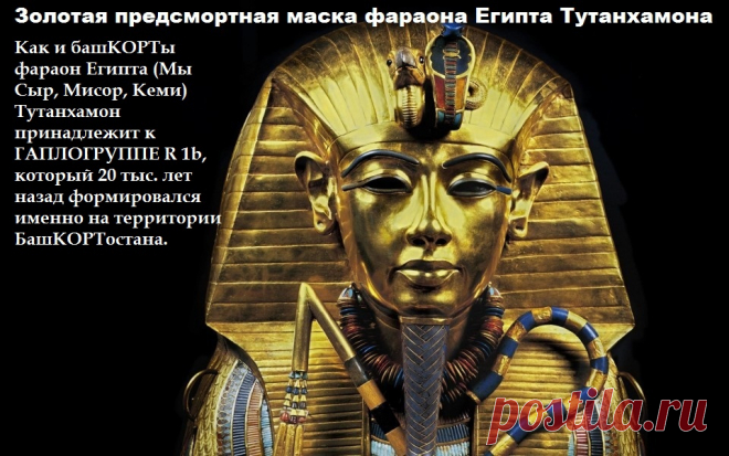 Усеркаф Усер-каф (Усерхерес) 2504/2454-2496/2446
[Усеркара]* Усер-ка-ра 2337/2287-2335/2285
Осохор (Осоркон) 985/984-979/978
Осоркон I Осоркон I (Осортон) 925/924- ок. 890
Осоркон II Осоркон II ок. 875-837
Шешонк IV Осоркон IV ок. 732/730-722
Осоркон III "Псаммус" (?) ок. 722-712
Поэтому и ДНК Тутанхомона совпадает с башкирским