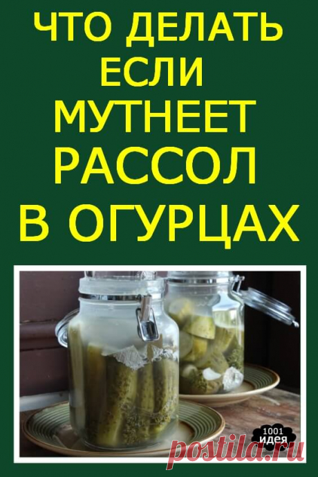 Почему мутнеет рассол огурцов в банке после закатки, что делать с маринованными и солеными консервированными огурцами | Тысяча и одна идея