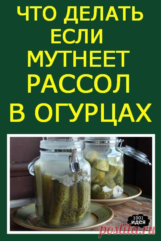 Почему мутнеет рассол огурцов в банке после закатки, что делать с маринованными и солеными консервированными огурцами | Тысяча и одна идея