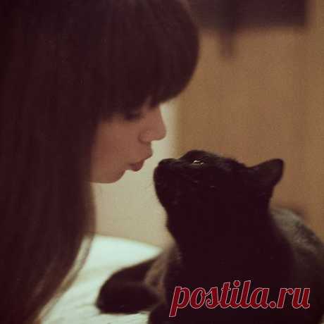 Она всгда была немного кошкой...