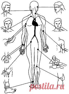 Остановка кровотечения / КАППО.Японская техника реанимации в практике боевых искусств