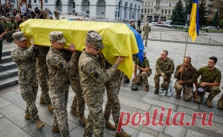 Шойгу оценил потери украинской армии в «необученных штурмах». Российский министр обороны уверен, что украинское командование «кидает солдат на убой»